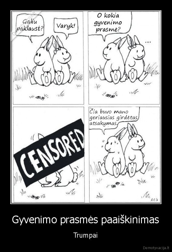 gyvenimo, prasme,kiskiai, krusasi