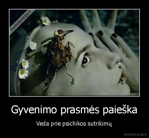 Gyvenimo prasmės paieška