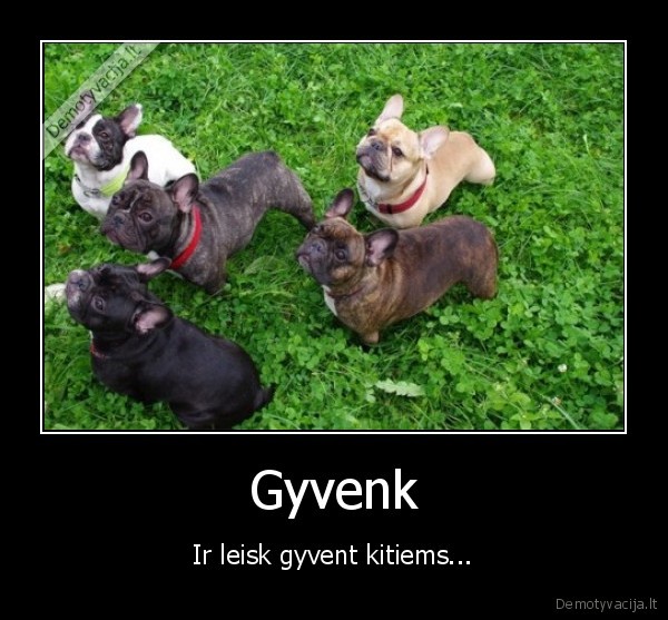 Gyvenk