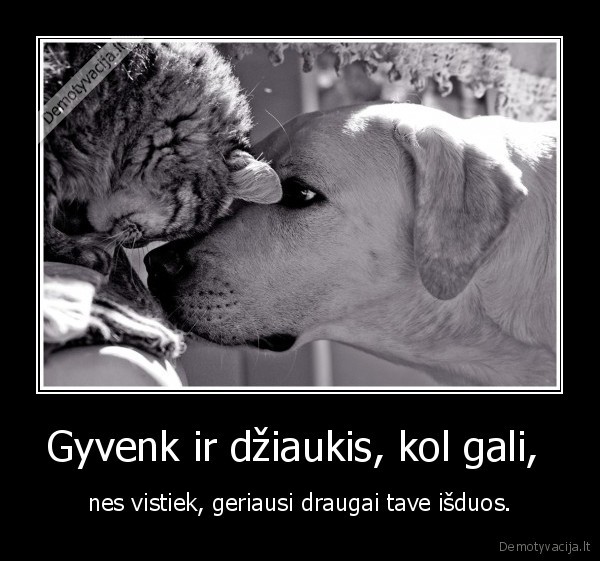 butina, pamineti, kubiliu