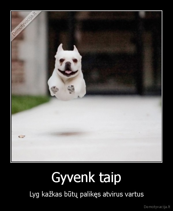 suo,atviri, vartai,pabego