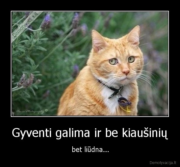 Gyventi galima ir be kiaušinių