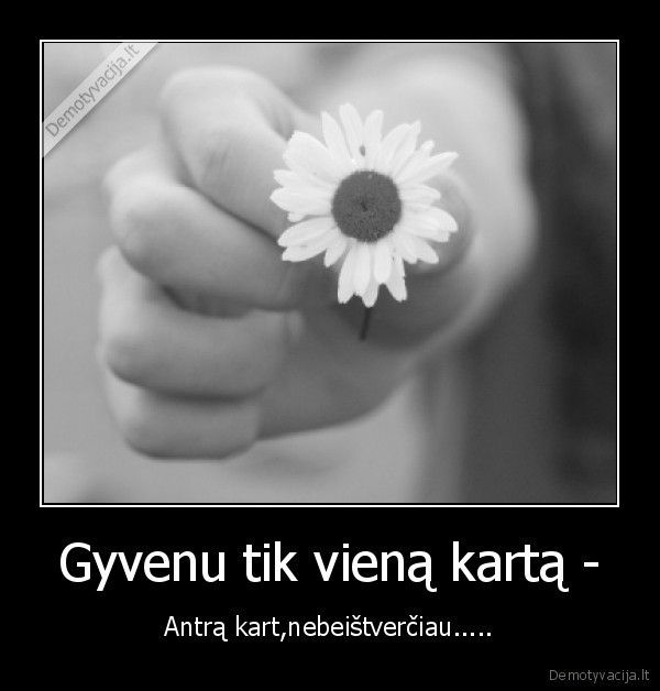 Gyvenu tik vieną kartą -