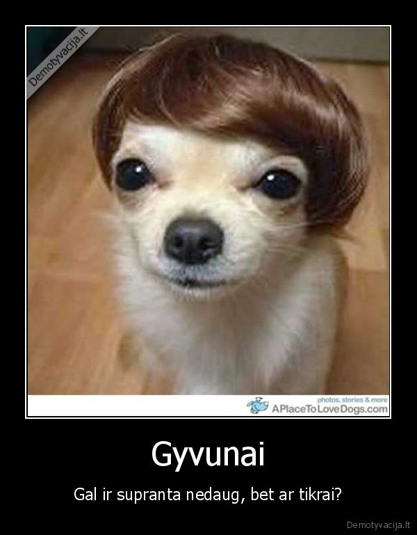 meile,istikimybe, gyvenimas, myliu, jus