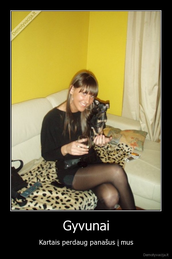 suo,drakute,panasus,mini, me