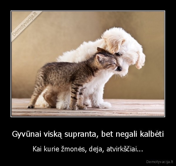 supratimas,gyvunai