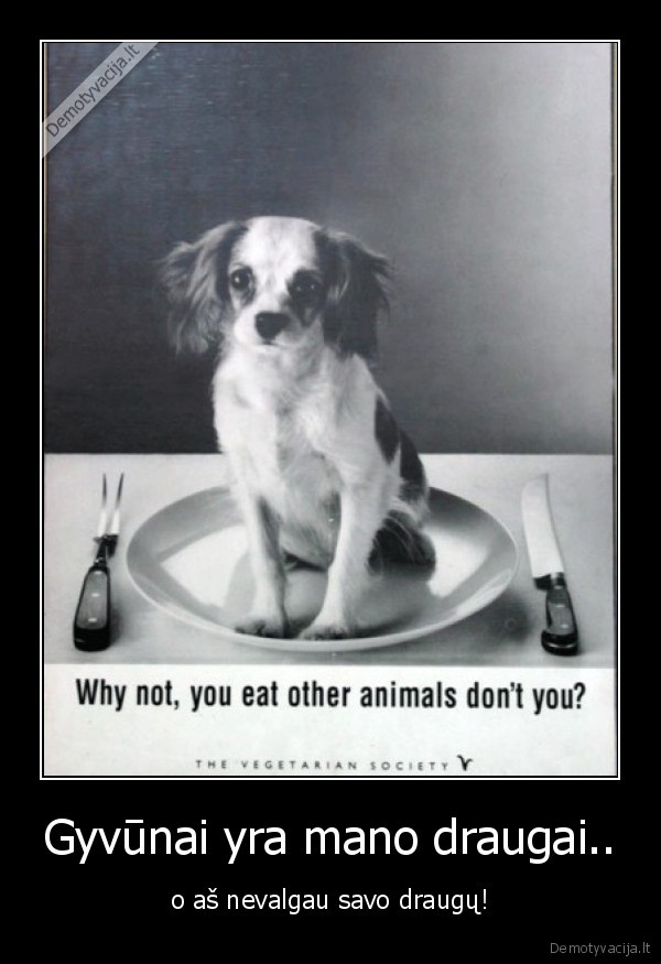 vegetarai,vegetarizmas,go, veg,draugai,gyvunai,mesa