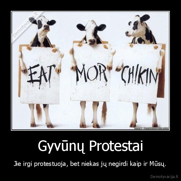 Gyvūnų Protestai