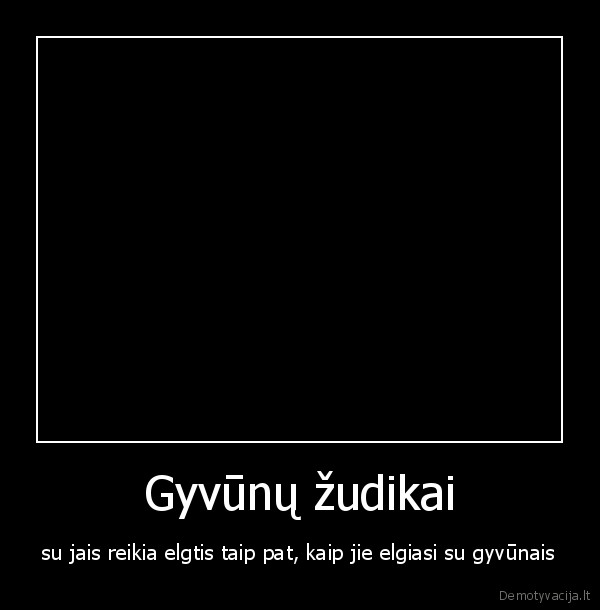 gyvunai,pipiras,sunsudziai,azuolyno, gimnazija,brisiaus, galas,linco, teismas