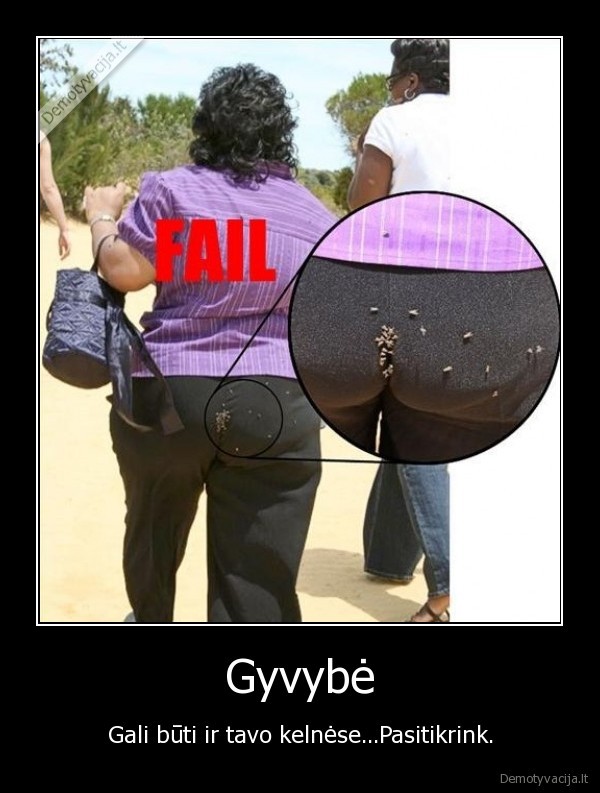 kelnes,moterys,vabzdziai,uodai