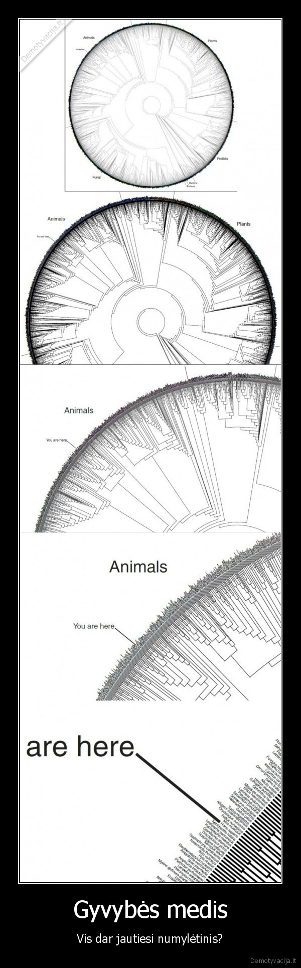 musu,zinios,ipareigoja,mus,rupintis,planeta