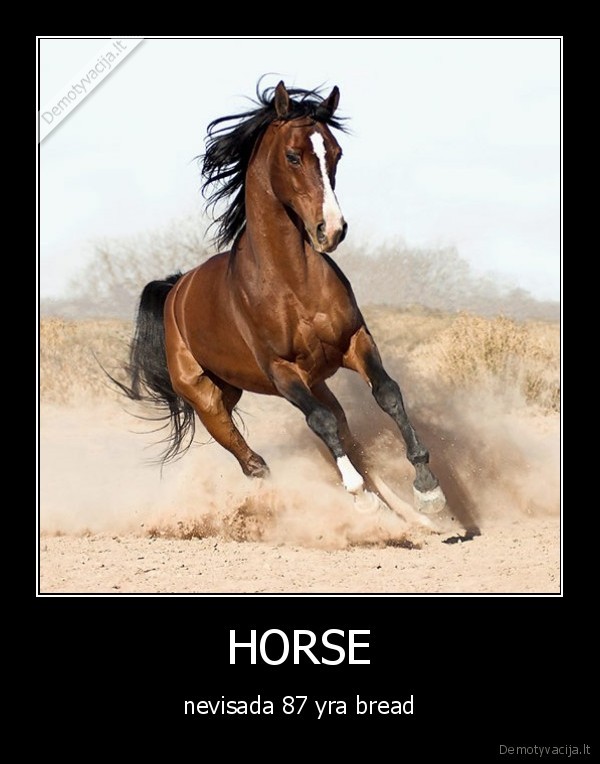 horse,kubilius,univeresitetas,meile,merginoms