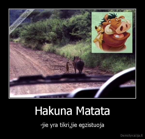 timon,pumba,hakuna, matata