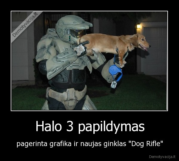 halo,dog,ginklas
