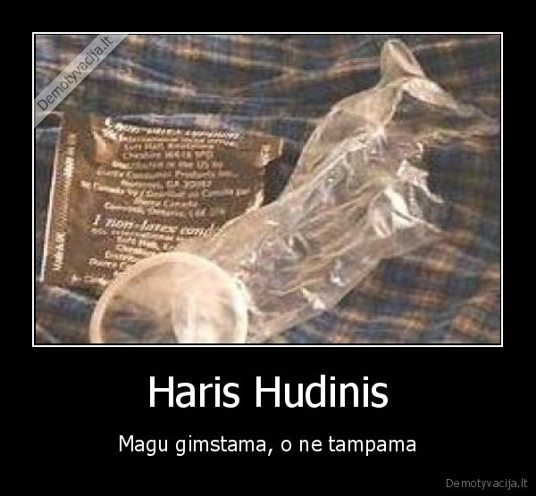 Haris Hudinis