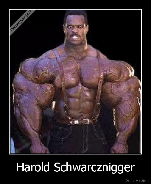 arnold, scwarzenegger