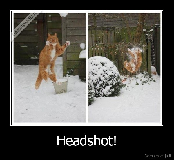 Headshot!