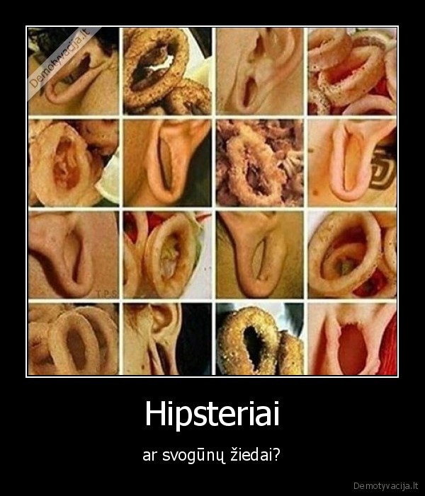 hipsteriai,svogunu, ziedai,ausys