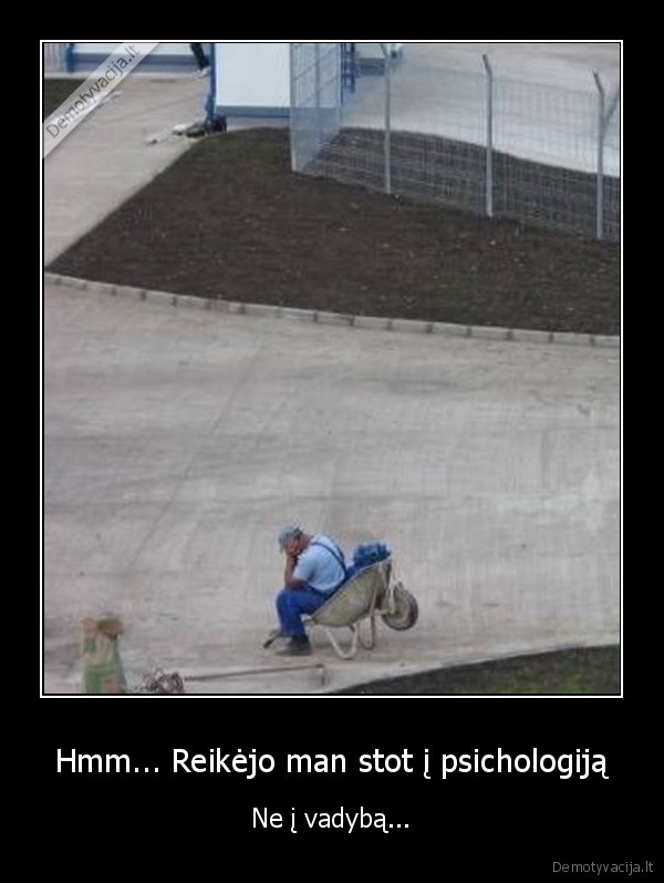 statybininkas,studijos,stojimai