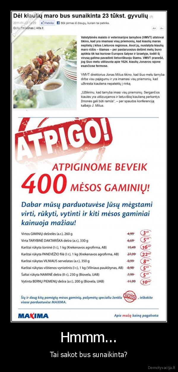 maxima,kiaules,kiaule