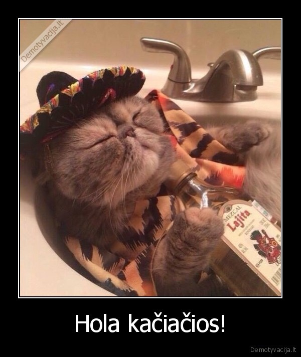 katinas,meksika,meksikietis