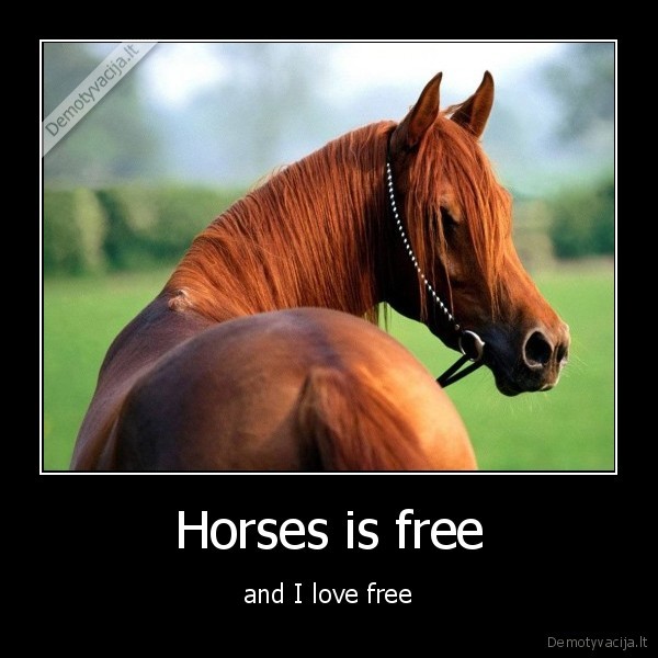 Horses is free