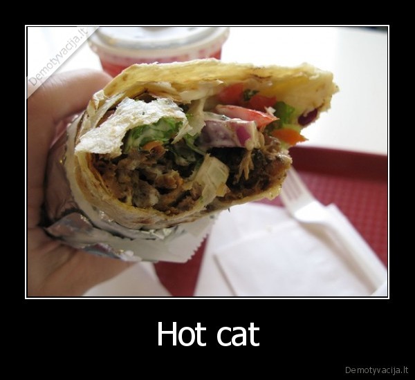 Hot cat