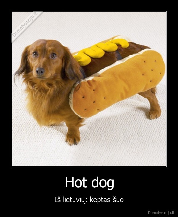 Hot dog
