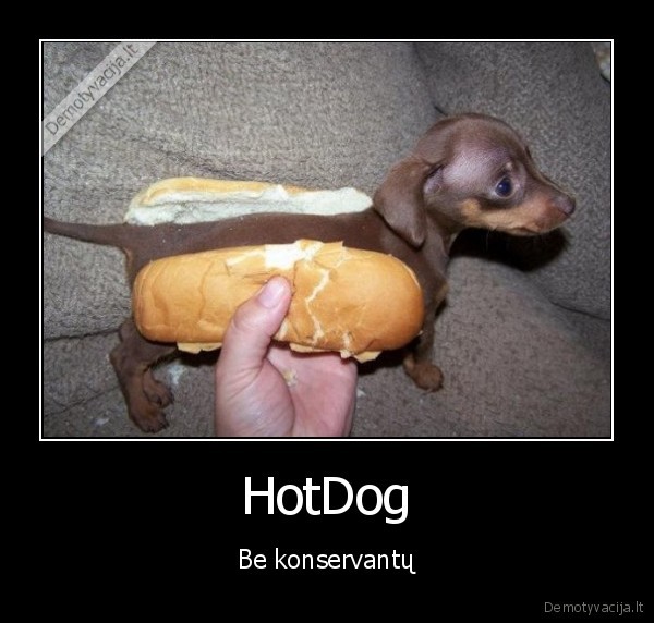 HotDog