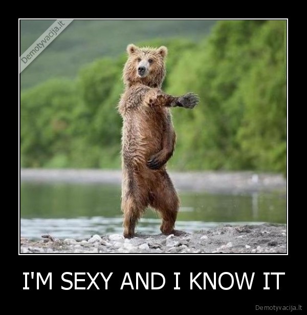 I'M SEXY AND I KNOW IT