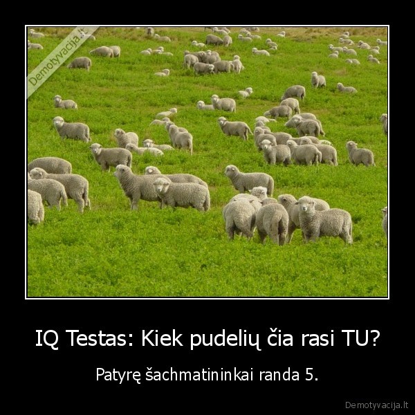 IQ Testas: Kiek pudelių čia rasi TU?