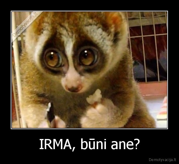 IRMA, būni ane?