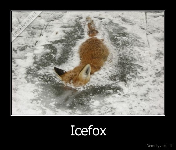 Icefox