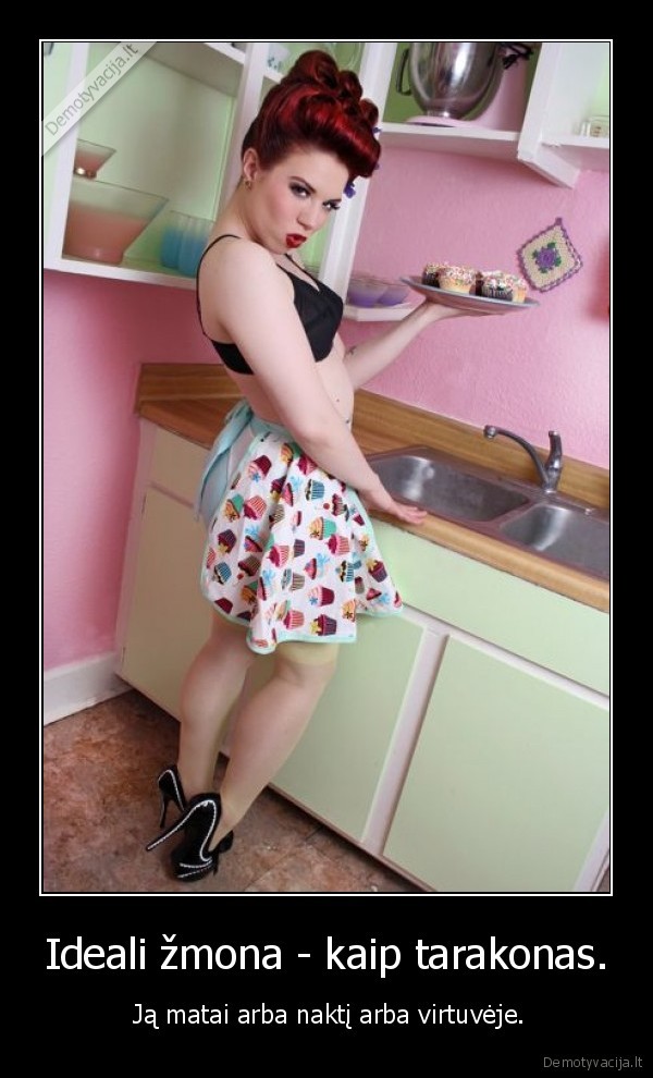 zmona, virtuve, tarakonas