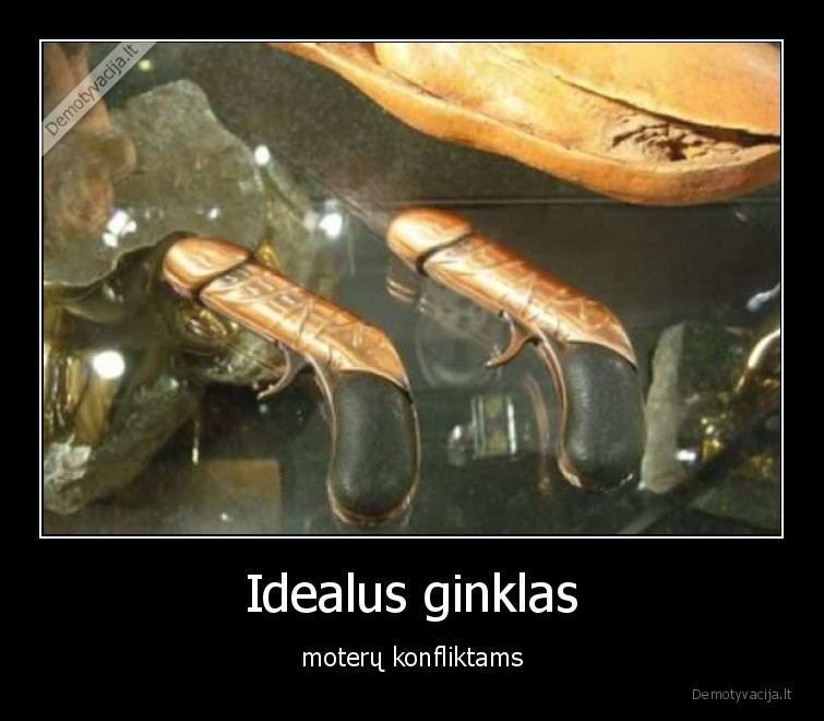 ginklas,penis,moteru,konfliktas