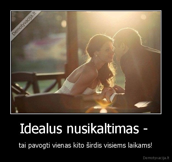 Idealus nusikaltimas - 