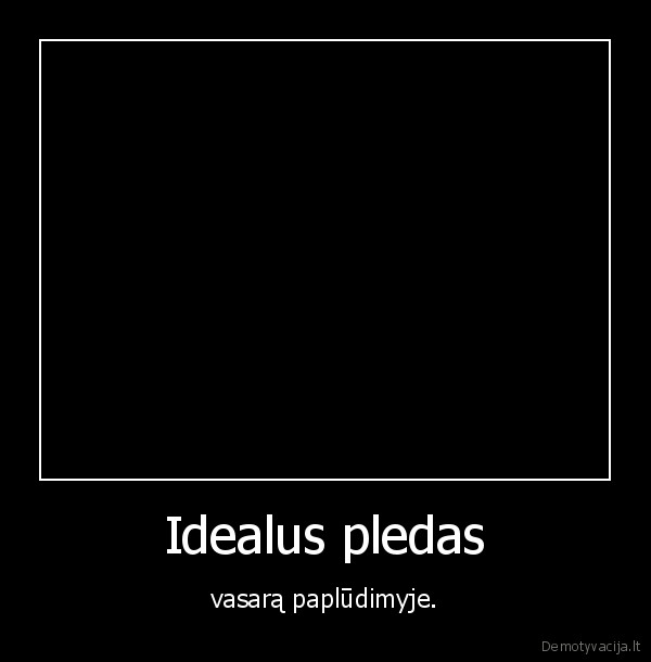 vasara,pledas,papludimys