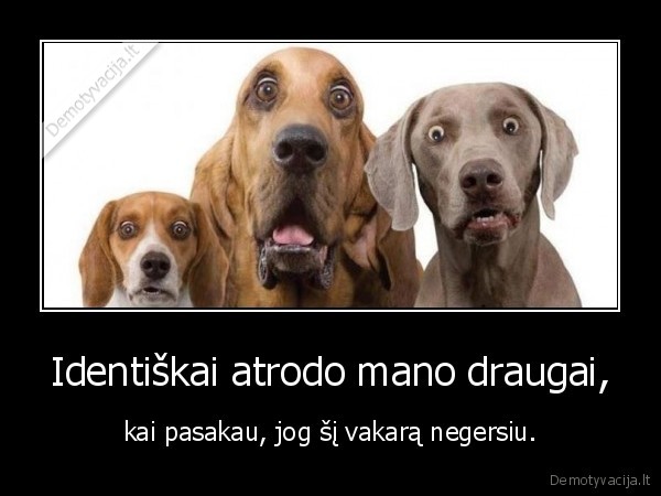 Identiškai atrodo mano draugai,