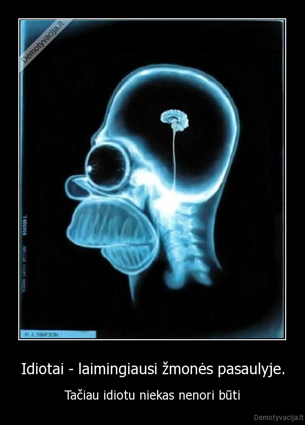 Idiotai - laimingiausi žmonės pasaulyje.