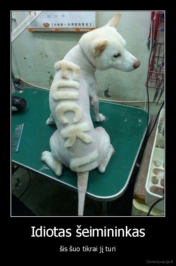 Idiotas šeimininkas