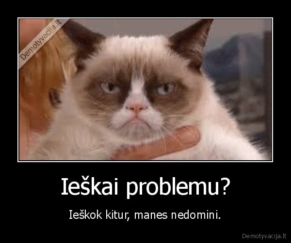 Ieškai problemu?