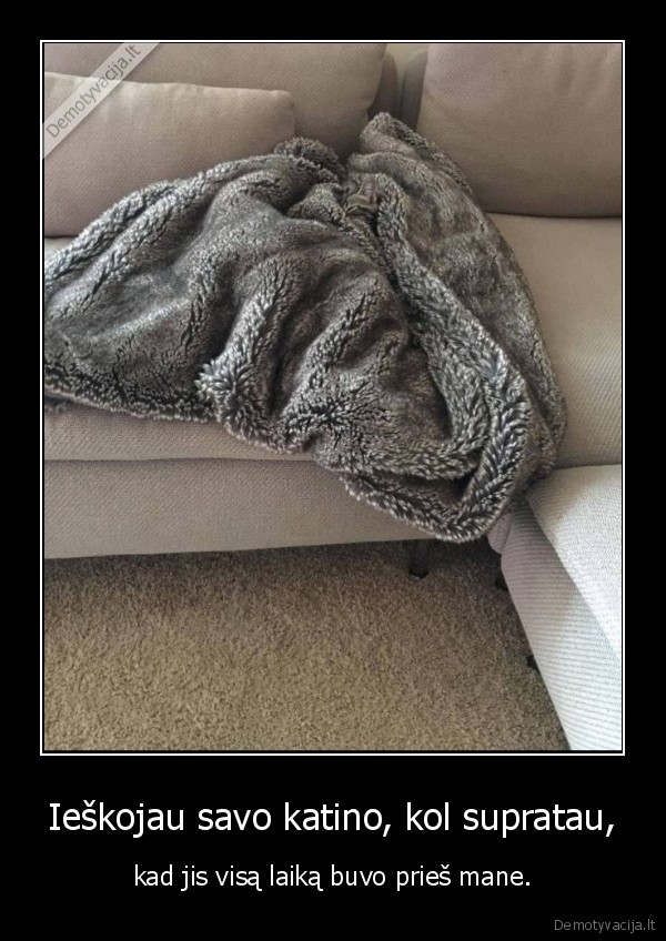 kate,katinas,slepynes