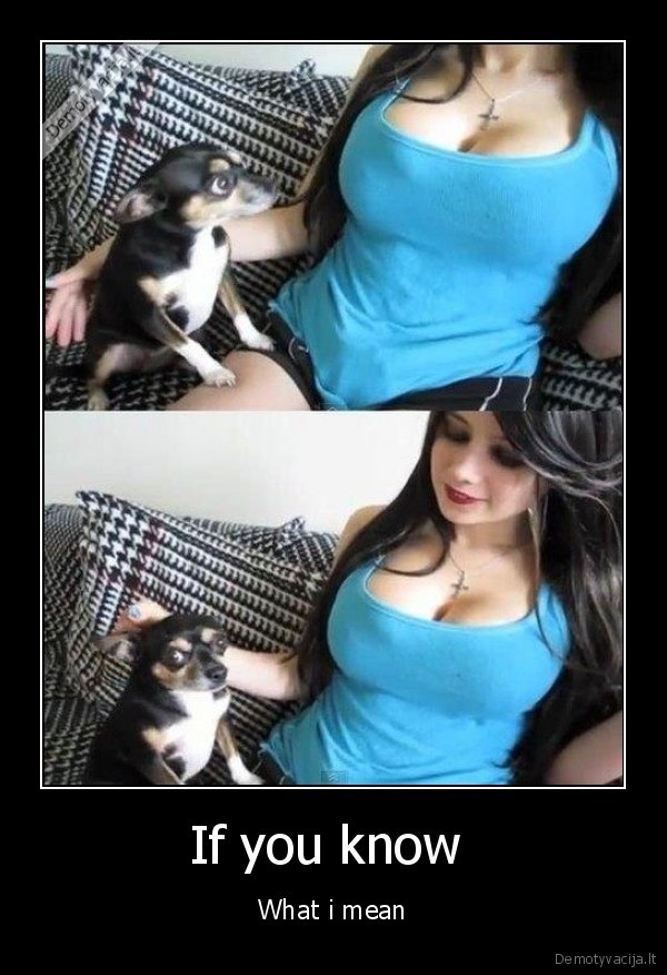 bobikas, i, papus, ziuri