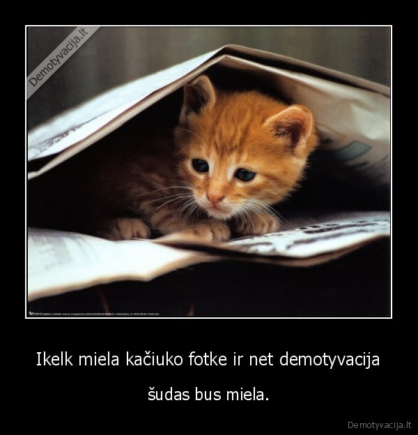 toks, jau, tas, gyvenimas,dirbti, reikia