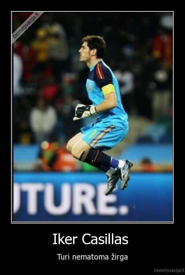 nematomas,arklys,vartininkas,casillas