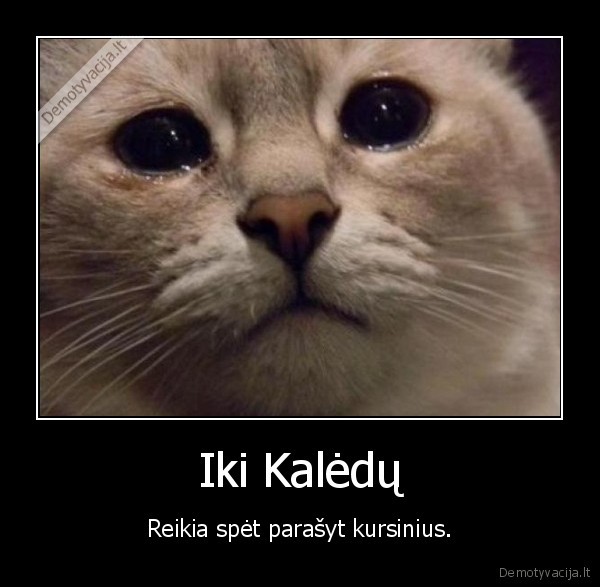 kursinis,studentai,rasyti