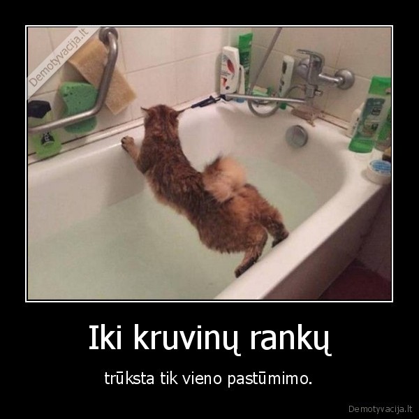 katinas,kate,vonia,rankos