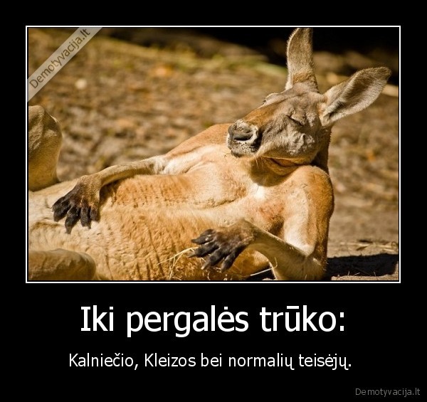 australija,lietuva,pralaimejo