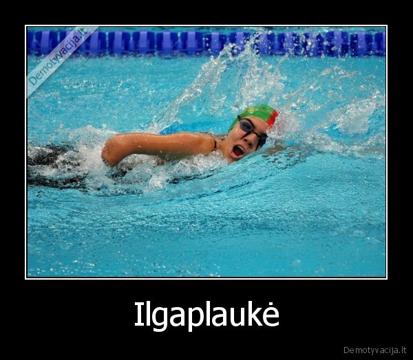 Ilgaplaukė