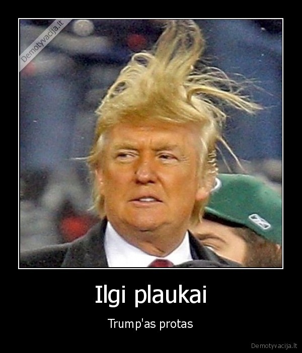 Ilgi plaukai